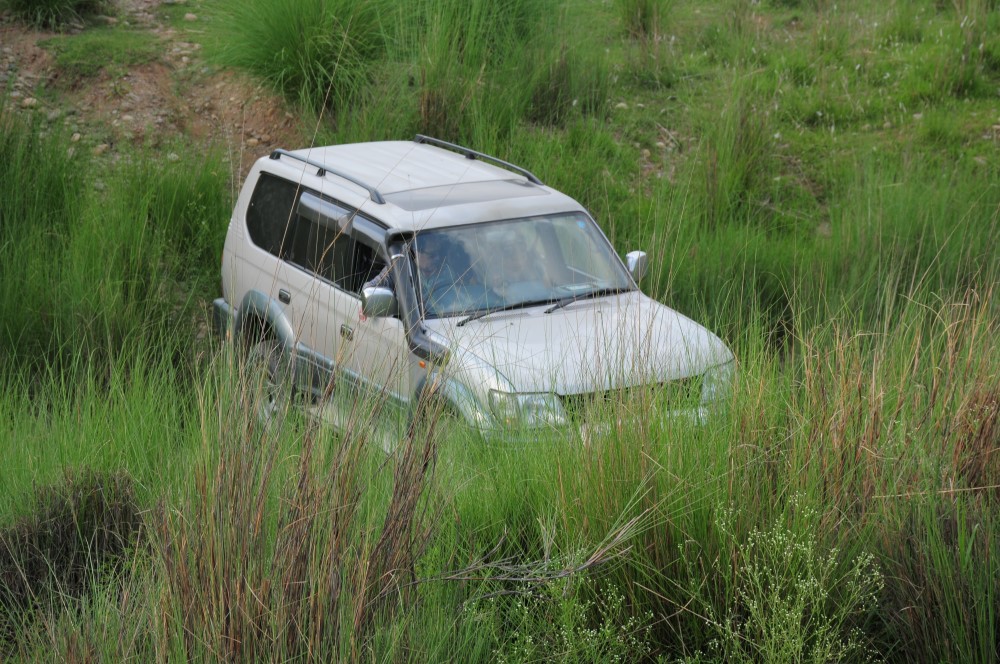 DSC_8584.JPG