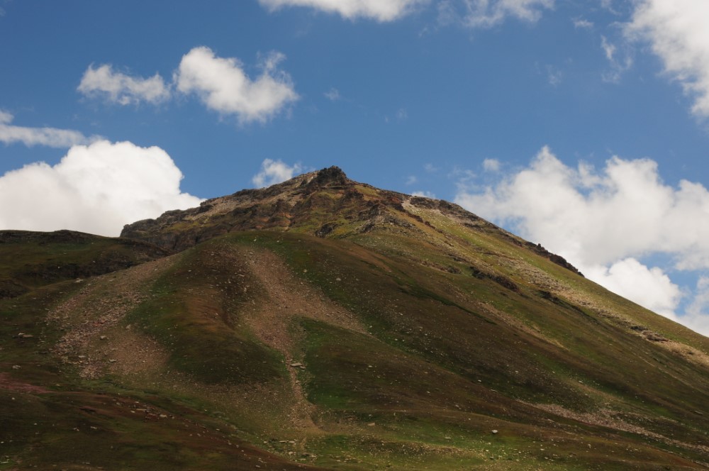 DSC_7917.JPG