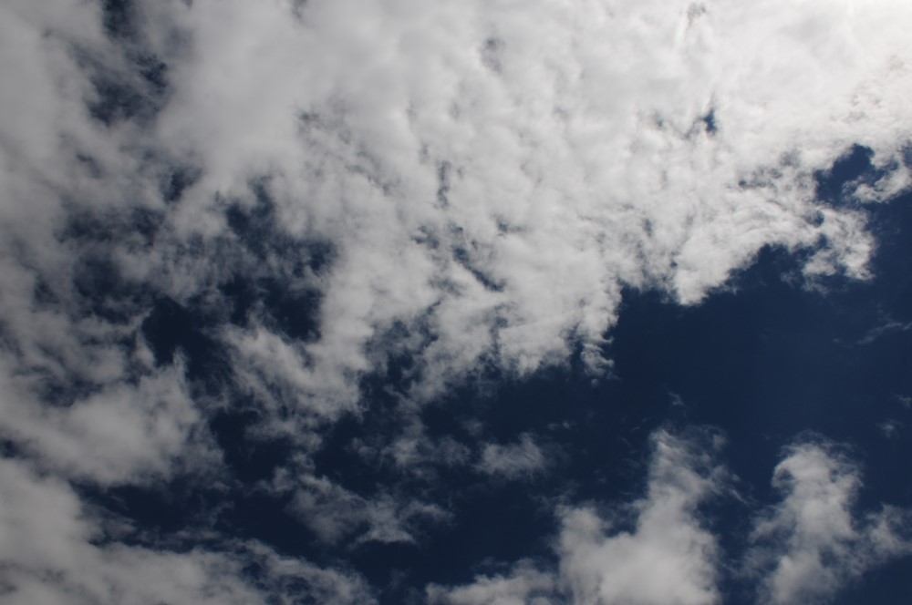DSC_7918.JPG