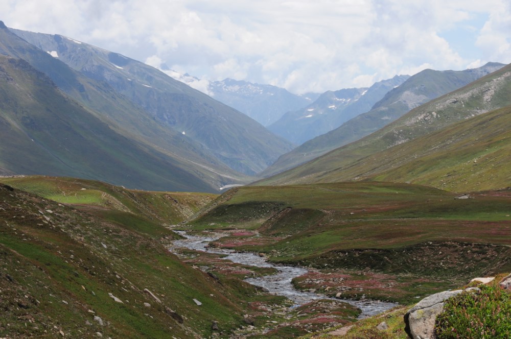 DSC_7925.JPG
