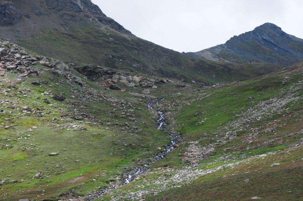 DSC_7921.JPG