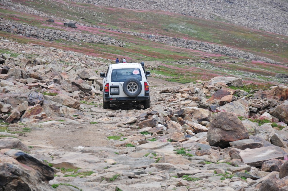 DSC_7931.JPG